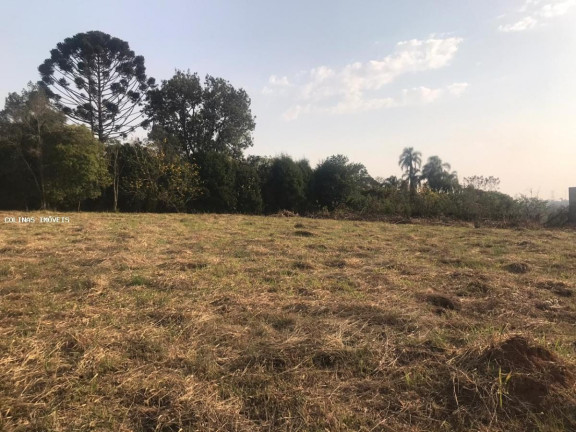 Imagem Terreno à Venda,  em Antes Do Centro - Ibiúna