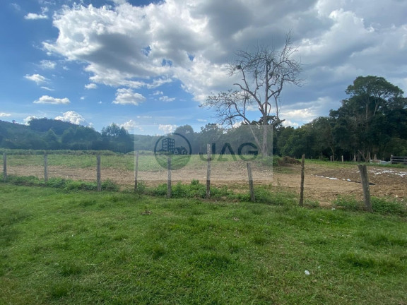 Imagem Imóvel com 6 Quartos à Venda, 3.000 m² em Distrito Industrial - Campina Grande Do Sul Imagem Imóvel com 6 Quartos à Venda, 3.000 m² em Distrito Industrial - Campina Grande Do Sul