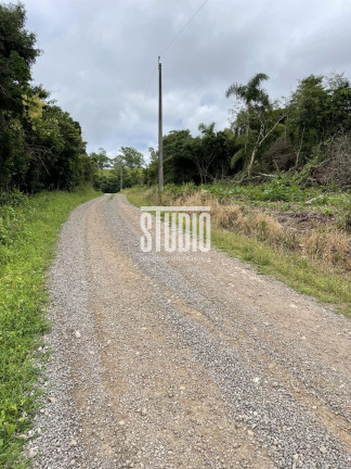 Terreno à Venda, 6.500 m² em Linha 12 - Carlos Barbosa
