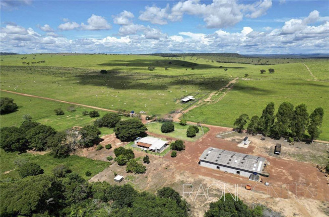 Imagem Fazenda à Venda, 18.420.000 m² em Zona Rural - Darcinópolis Imagem Fazenda à Venda, 18.420.000 m² em Zona Rural - Darcinópolis