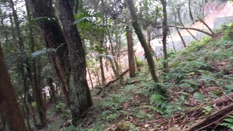Imagem Terreno à Venda, 3.504 m² em Represa - Ribeirão Pires Imagem Terreno à Venda, 3.504 m² em Represa - Ribeirão Pires