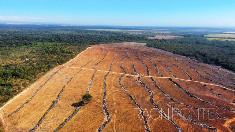 Imagem Fazenda à Venda, 484 m² em Zona Rural - São Valério Da Natividade Imagem Fazenda à Venda, 484 m² em Zona Rural - São Valério Da Natividade