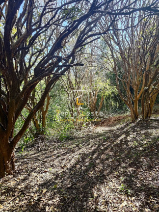 Imagem Terreno à Venda, 20.000 m² em Piedade Do Paraopeba - Brumadinho Imagem Terreno à Venda, 20.000 m² em Piedade Do Paraopeba - Brumadinho