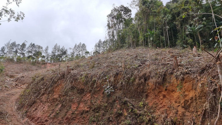Imagem Imóvel à Venda, 44.000 m² em Alto Nova Almeida - Marechal Floriano Imagem Imóvel à Venda, 44.000 m² em Alto Nova Almeida - Marechal Floriano