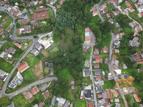 Terreno à Venda, 5.600 m² em Vila Paulista - Campos Do Jordão