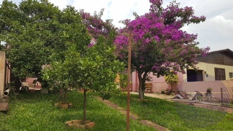 Imagem Casa com 2 Quartos à Venda, 70 m² em Jansen - Gravataí Imagem Casa com 2 Quartos à Venda, 70 m² em Jansen - Gravataí