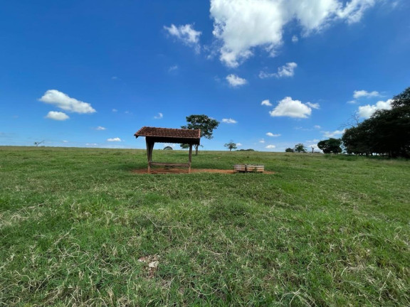 Imagem Imóvel à Venda, 25 m² em área Rural De São José Do Rio Preto - São José Do Rio Preto Imagem Imóvel à Venda, 25 m² em área Rural De São José Do Rio Preto - São José Do Rio Preto
