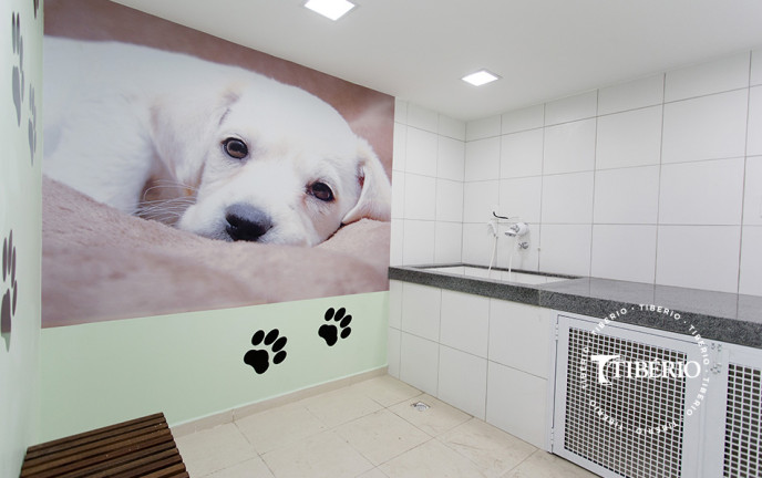Imagem Apartamento com 2 Quartos à Venda, 50 m² em Freguesia Do ó - São Paulo