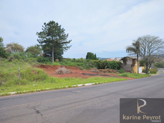 Imagem Terreno à Venda, 785 m² em Campestre - São Leopoldo Imagem Terreno à Venda, 785 m² em Campestre - São Leopoldo