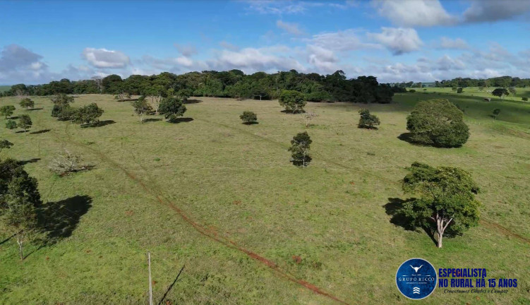 Imagem Fazenda à Venda, 34 m² em Zona Rural - Anicuns Imagem Fazenda à Venda, 34 m² em Zona Rural - Anicuns