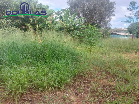 Imagem Terreno à Venda, 900 m² em Viamão Imagem Terreno à Venda, 900 m² em Viamão
