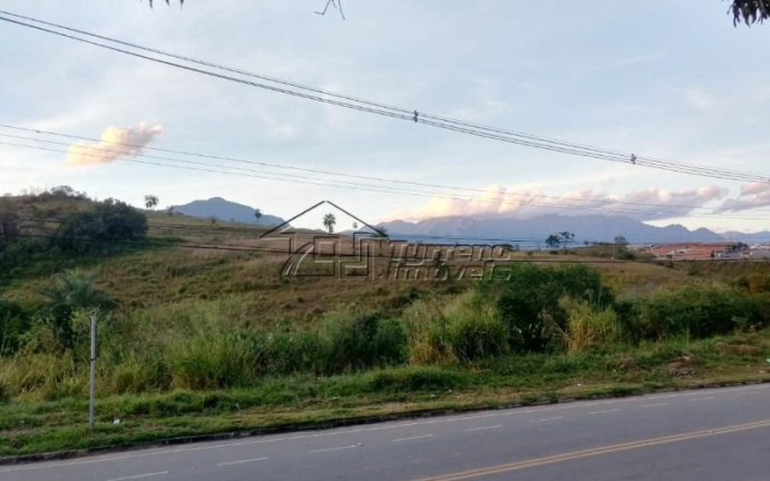 Imagem Imóvel à Venda, 5.000 m² em Vila Pontilhão - Cruzeiro
