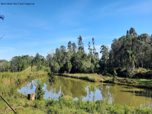 Imagem Terreno à Venda, 1 m² em Br 116 - Nova Petrópolis Imagem Terreno à Venda, 1 m² em Br 116 - Nova Petrópolis