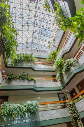 Imagem Sala Comercial à Venda,  em Higienópolis - Porto Alegre