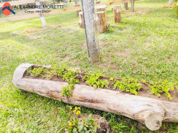 Imagem Casa com 3 Quartos à Venda, 6.000 m² em Cercado - Araçoiaba Da Serra Imagem Casa com 3 Quartos à Venda, 6.000 m² em Cercado - Araçoiaba Da Serra