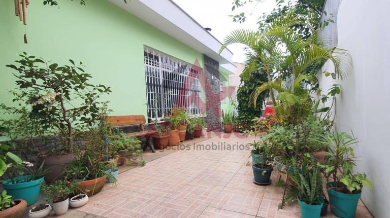 Imagem Casa com 4 Quartos à Venda, 300 m² em Vila Albertina - São Paulo