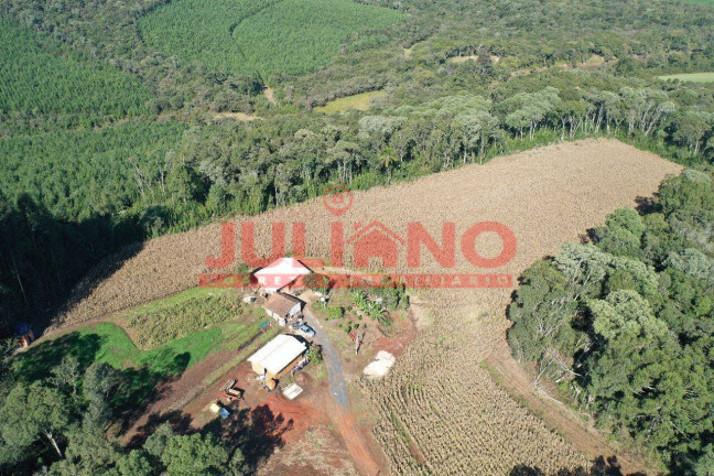 Imagem Chácara à Venda, 24.400 m² em Mafra Imagem Chácara à Venda, 24.400 m² em Mafra