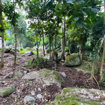 Imagem Terreno à Venda, 750 m² em Horto Florestal - Ubatuba Imagem Terreno à Venda, 750 m² em Horto Florestal - Ubatuba