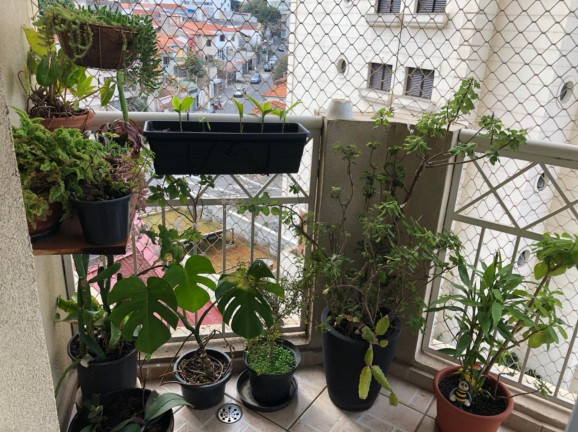 Imagem Imóvel com 4 Quartos à Venda, 125 m² em Mooca - São Paulo