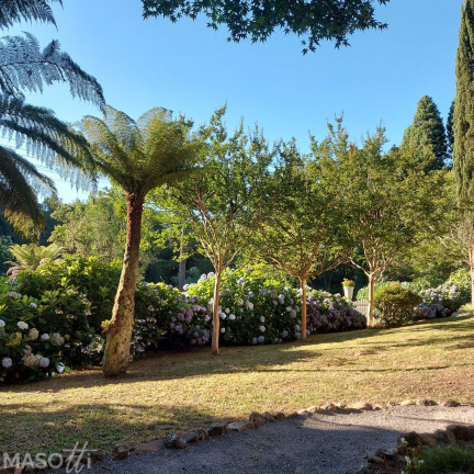 Imagem Casa com 3 Quartos à Venda, 215 m² em Mato Queimado - Gramado
