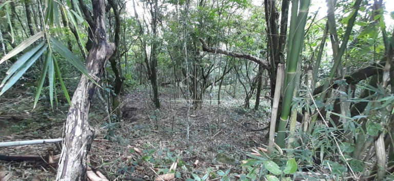 Imagem Terreno à Venda, 2.024 m² em Vargem Grande - Florianópolis Imagem Terreno à Venda, 2.024 m² em Vargem Grande - Florianópolis