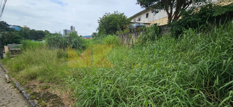 Imóvel à Venda, 434 m² em água Verde - Blumenau