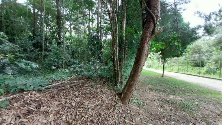 Imagem Terreno à Venda, 2.500 m² em Vila Real Do Moinho Velho - Embu Das Artes Imagem Terreno à Venda, 2.500 m² em Vila Real Do Moinho Velho - Embu Das Artes