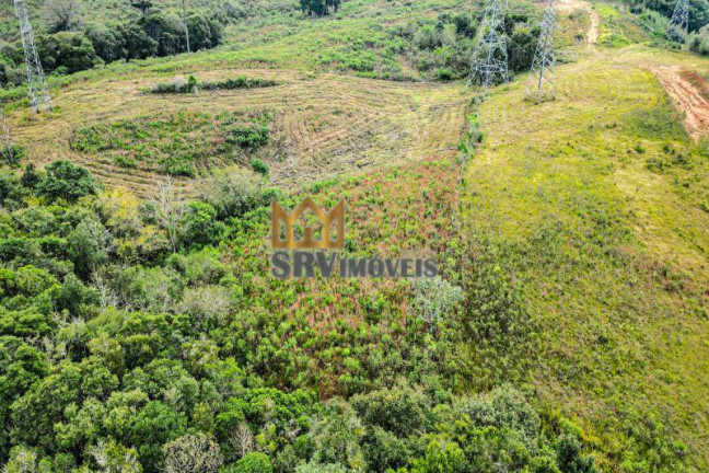 Imagem Terreno à Venda, 44.900 m² em Barro Preto - São José Dos Pinhais Imagem Terreno à Venda, 44.900 m² em Barro Preto - São José Dos Pinhais