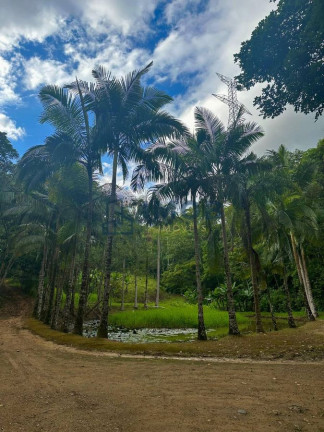 Imagem Chácara à Venda, 92.575 m² em Três Rios Do Norte - Jaraguá Do Sul Imagem Chácara à Venda, 92.575 m² em Três Rios Do Norte - Jaraguá Do Sul