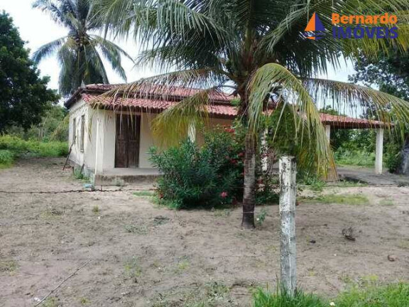 Imagem Fazenda à Venda, 500 m² em Guanaces - Cascavel Imagem Fazenda à Venda, 500 m² em Guanaces - Cascavel