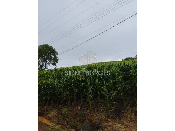 Imagem Imóvel à Venda, em Linha Xv De Novembro - Lindóia Do Sul Imagem Imóvel à Venda, em Linha Xv De Novembro - Lindóia Do Sul