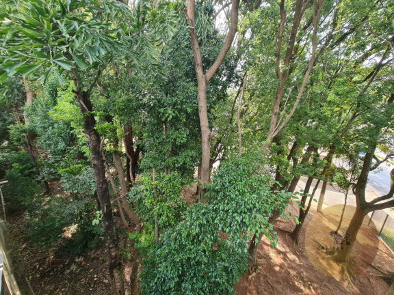 Imagem Sobrado com 3 Quartos à Venda, 257 m² em São José - São Caetano Do Sul Imagem Sobrado com 3 Quartos à Venda, 257 m² em São José - São Caetano Do Sul
