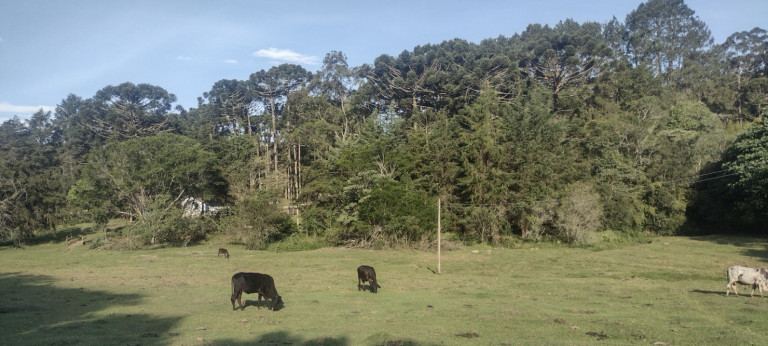 Imagem Chácara com 4 Quartos à Venda, em Retiro - Cunha Imagem Chácara com 4 Quartos à Venda, em Retiro - Cunha