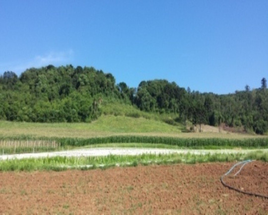 Terreno à Venda, 20 m² em Linha Brasil - Nova Petrópolis