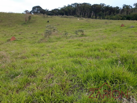 Imagem Chácara à Venda, 2.000 m² em Santa Luzia Rural - Taubaté
