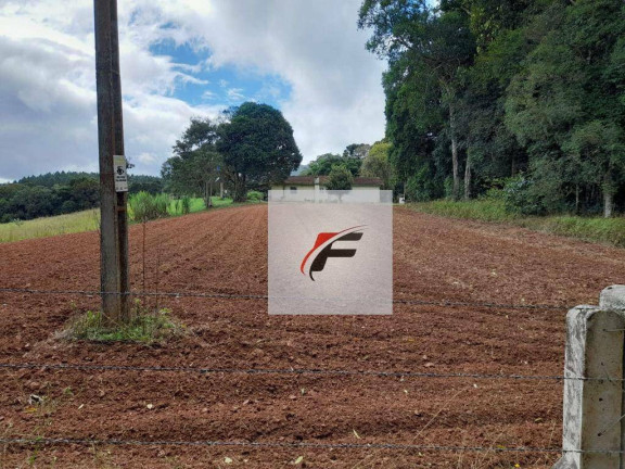 Imagem Chácara com 3 Quartos à Venda, 20.000 m² em Colônia Malhada - São José Dos Pinhais Imagem Chácara com 3 Quartos à Venda, 20.000 m² em Colônia Malhada - São José Dos Pinhais