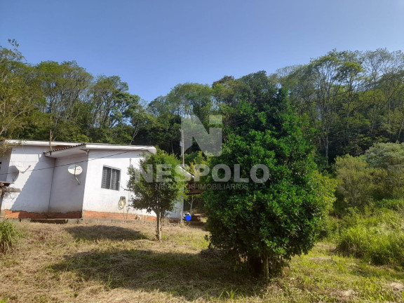 Imagem Fazenda à Venda, 130 m² em Interior - Chapeco