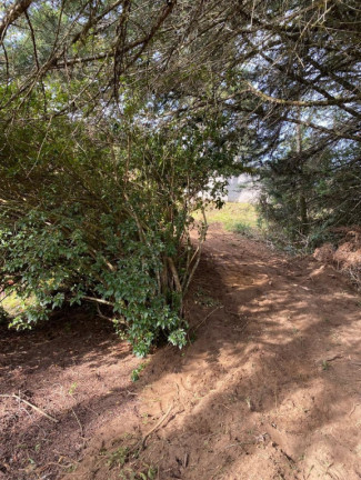 Imagem Imóvel à Venda, em Cunha Imagem Imóvel à Venda, em Cunha