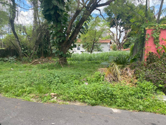 Terreno à Venda, 800 m² em Aleixo - Manaus