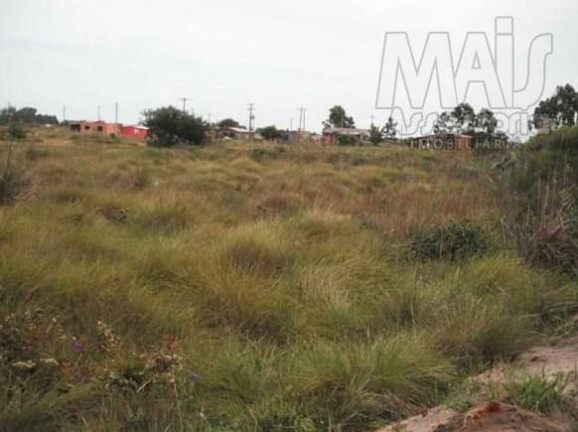 Imagem Terreno à Venda,  em Praia Paraiso - Torres