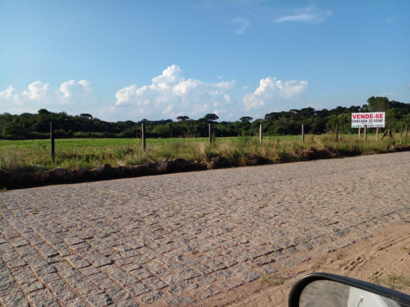 Imagem Terreno à Venda, 20.000 m² em Campo Largo Da Roseira - São José Dos Pinhais Imagem Terreno à Venda, 20.000 m² em Campo Largo Da Roseira - São José Dos Pinhais