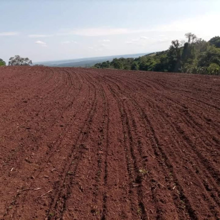 Imagem Chácara à Venda, 24 m² em Rural - Itatinga Imagem Chácara à Venda, 24 m² em Rural - Itatinga