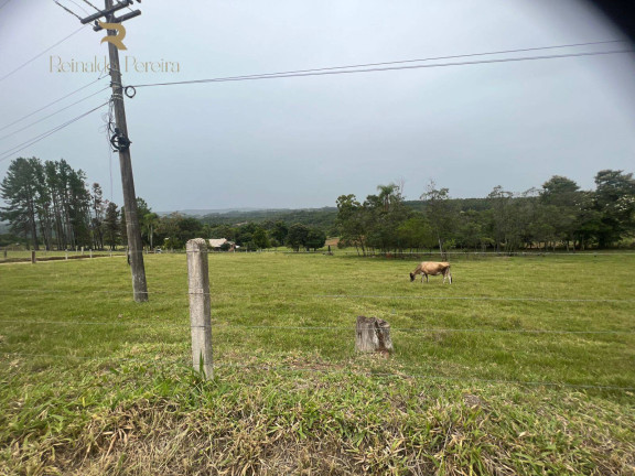 Imagem Chácara com 2 Quartos à Venda, 32.000 m² em Fazenda Fialho - Taquara