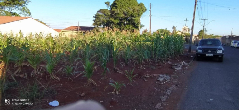 Imagem Terreno à Venda, 372 m² em Arapongas Imagem Terreno à Venda, 372 m² em Arapongas