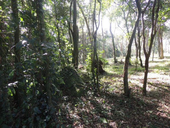 Imagem Terreno à Venda, 20.000 m² em Macacu - Garopaba Imagem Terreno à Venda, 20.000 m² em Macacu - Garopaba
