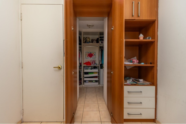 Imagem Apartamento com 3 Quartos à Venda, 55 m² em Jardim Santa Terezinha (zona Leste) - São Paulo
