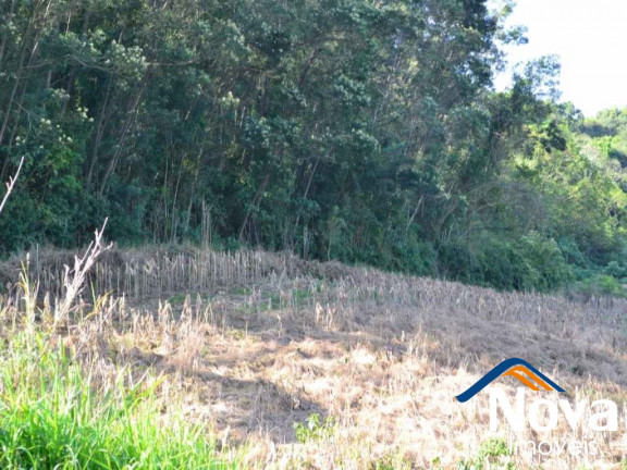 Imagem Imóvel à Venda, em Pinhal Alto - Nova Petrópolis Imagem Imóvel à Venda, em Pinhal Alto - Nova Petrópolis