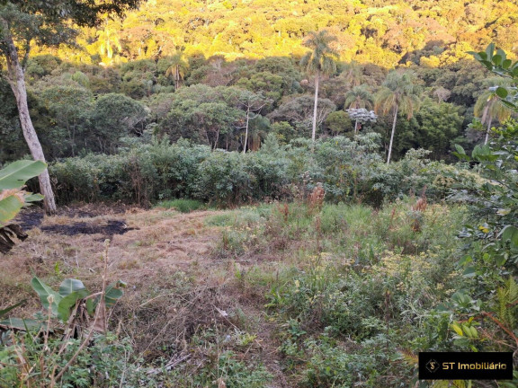 Imagem Terreno à Venda, 3.600 m² em Pedra Vermelha (terra Preta) - Mairiporã