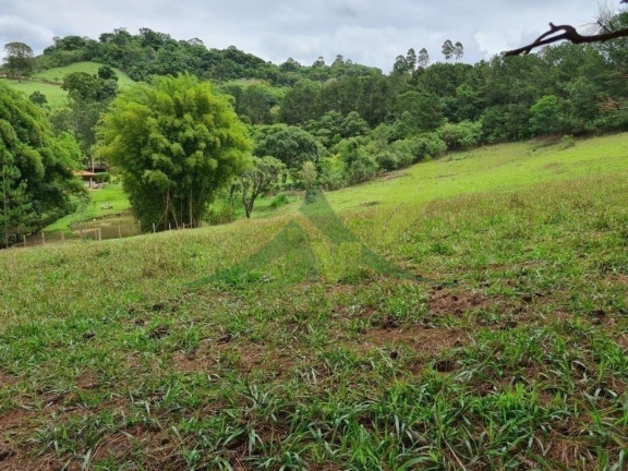 Imagem Chácara com 4 Quartos à Venda, 48.400 m² em Piracaia - Piracaia Imagem Chácara com 4 Quartos à Venda, 48.400 m² em Piracaia - Piracaia
