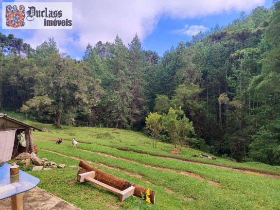 Imagem Chácara à Venda, 60.500 m² em Bom Jardim - Camanducaia Imagem Chácara à Venda, 60.500 m² em Bom Jardim - Camanducaia